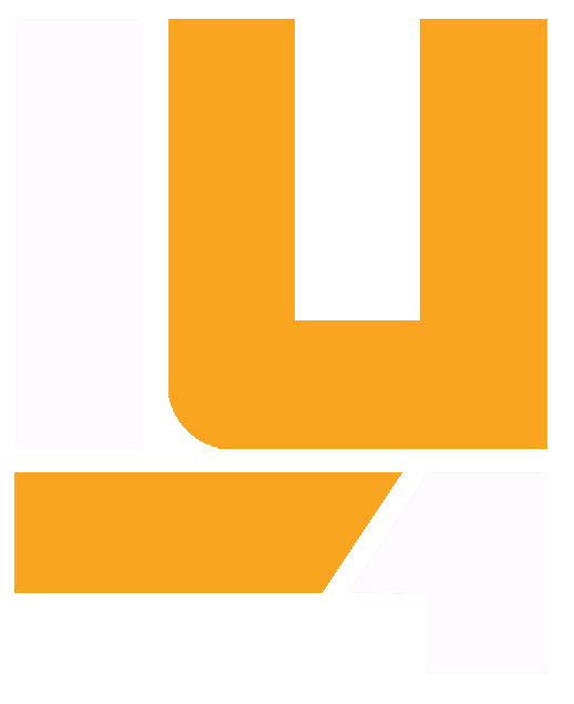 Link 4U Global Logo
